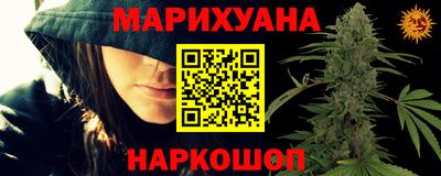 гидропоника Аша