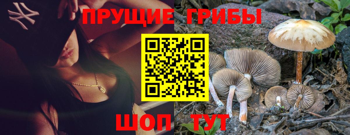 Галлюциногенные грибы ЛСД Котельники